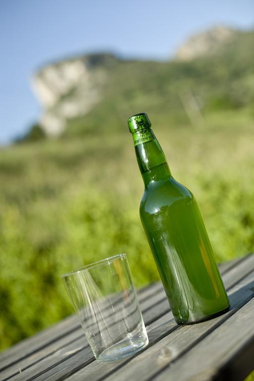 Apartamentos La Corona - Cabrales كارينا دي كابراليس المظهر الخارجي الصورة
